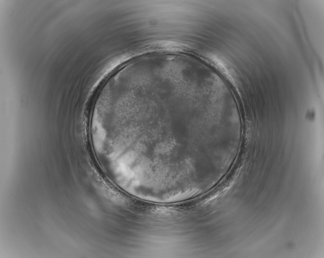 X0000089960835200707201946