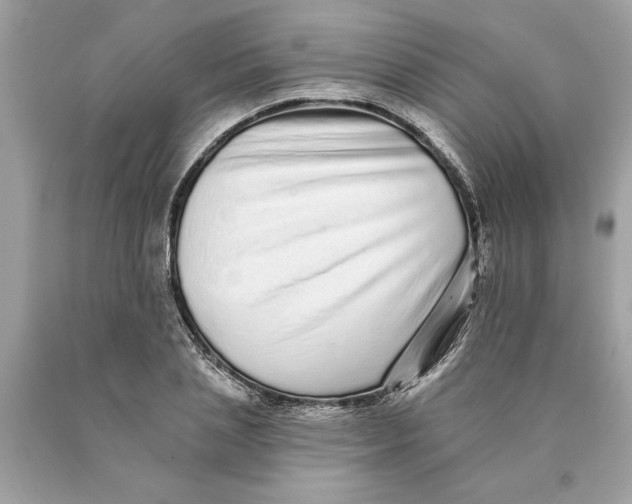 X0000089960837200707201946