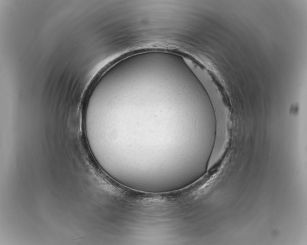 X0000089960838200707201946