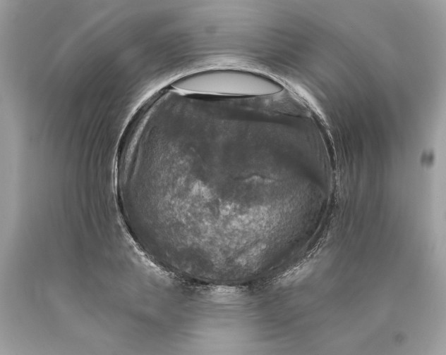 X0000089960839200707201946