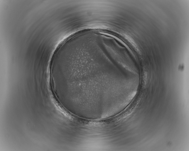 X0000089960840200707201946