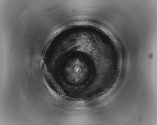 X0000089960841200707201947