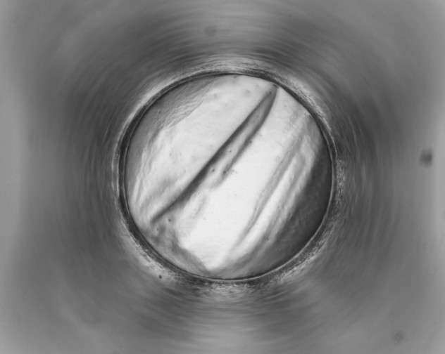 X0000089960843200707201947