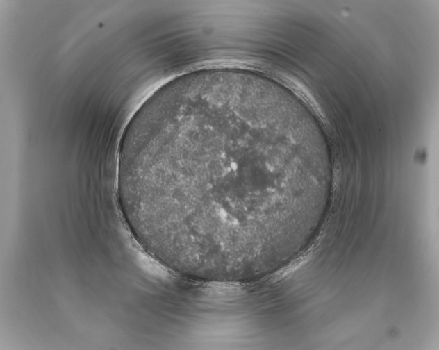 X0000089960844200707201947