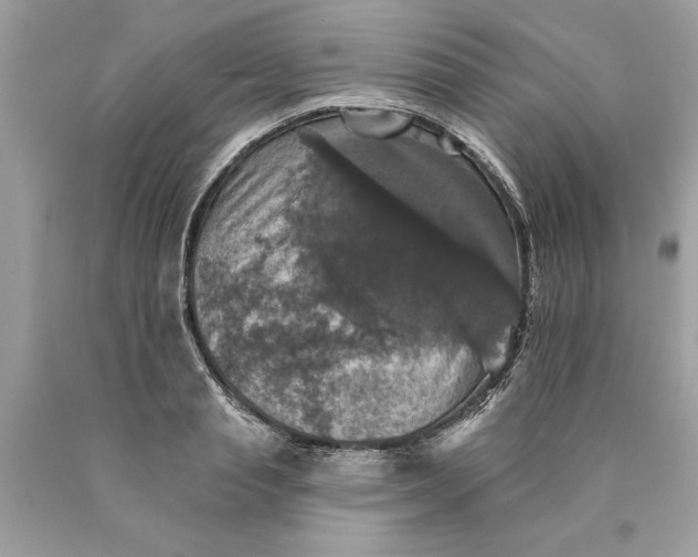 X0000089960845200707201947