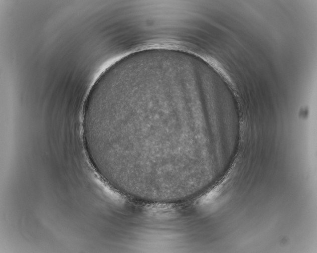 X0000089960846200707201947