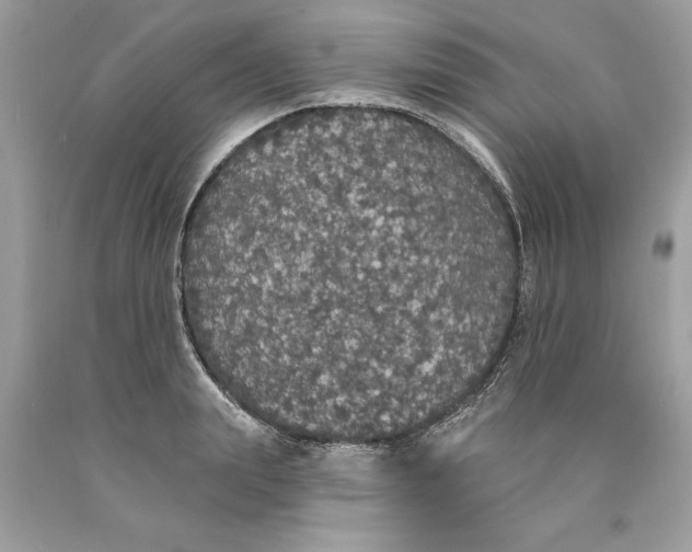 X0000089960847200707201947