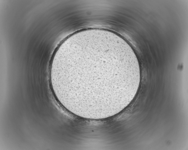 X0000089960848200707201947