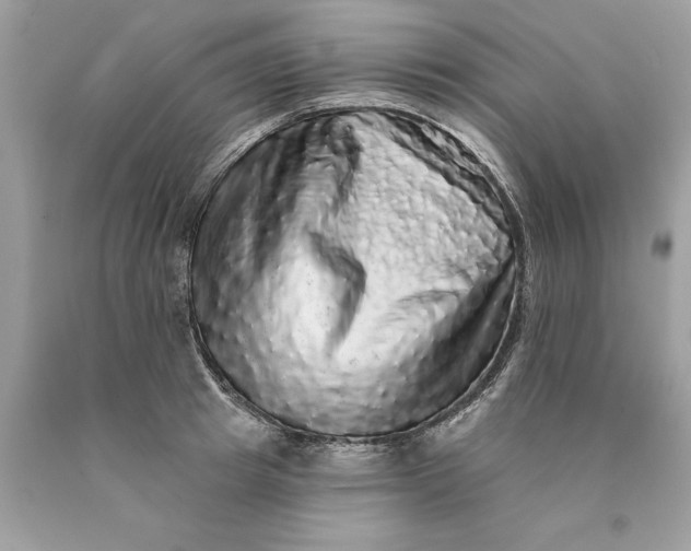 X0000089960849200707201947