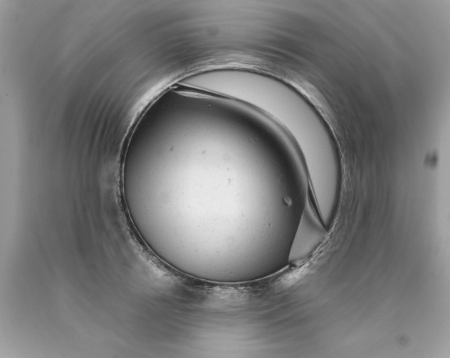 X0000089960850200707201947