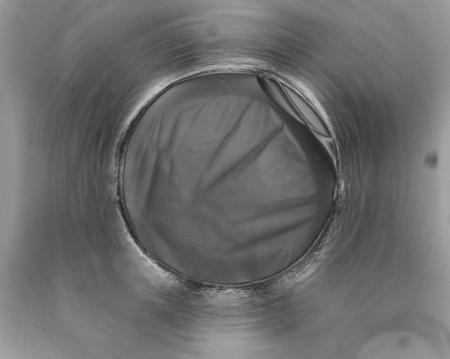 X0000089960851200707201947