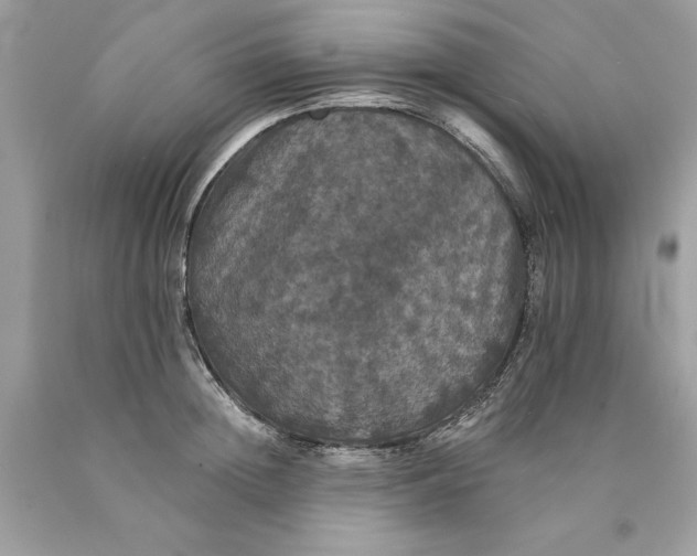 X0000089960852200707201947