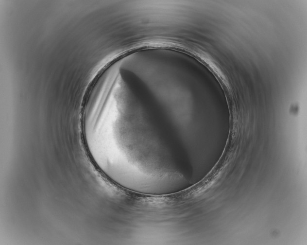 X0000089960853200707201947