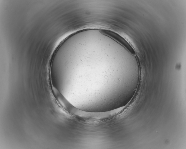 X0000089960854200707201947