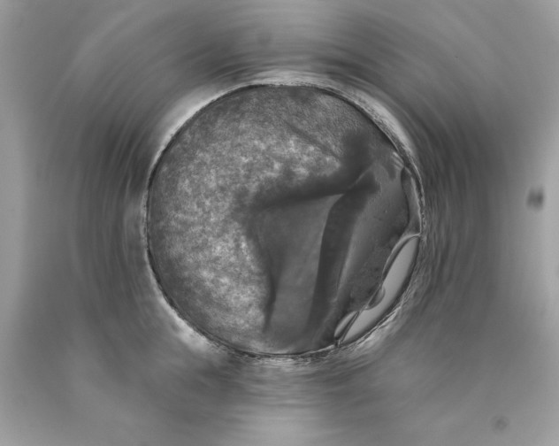 X0000089960855200707201947