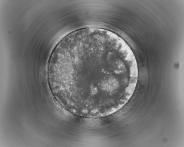 X0000089960856200707201947