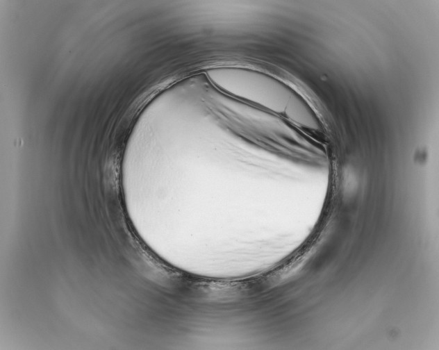 X0000089960857200707201947