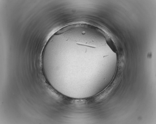 X0000089960858200707201947