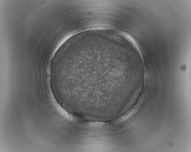 X0000089960859200707201947