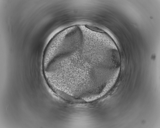 X0000089960861200707201947