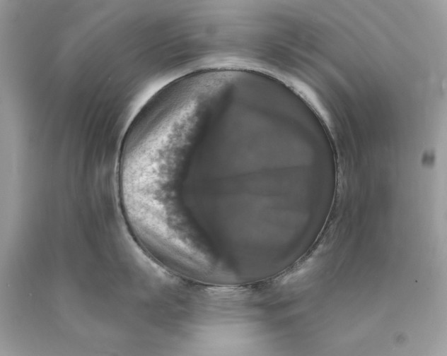 X0000089960863200707201947