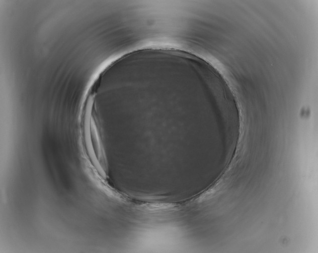 X0000089960864200707201947