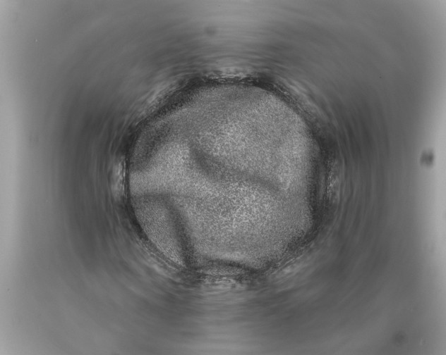 X0000089960866200707201946