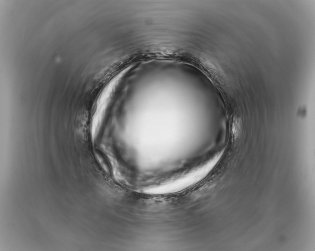 X0000089960867200707201946