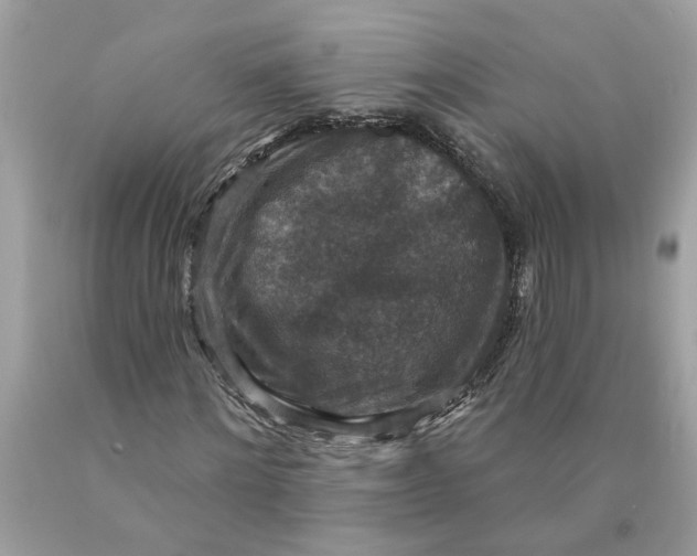 X0000089960868200707201946