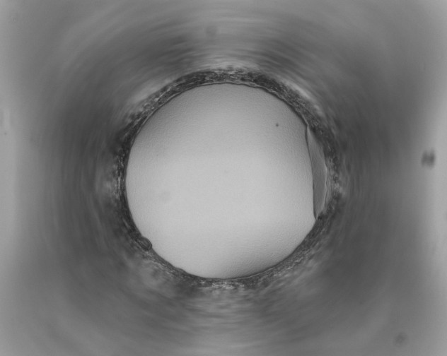 X0000089960869200707201946