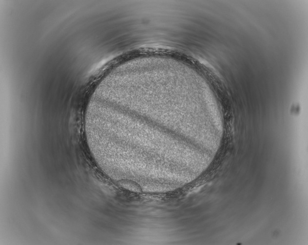 X0000089960870200707201946