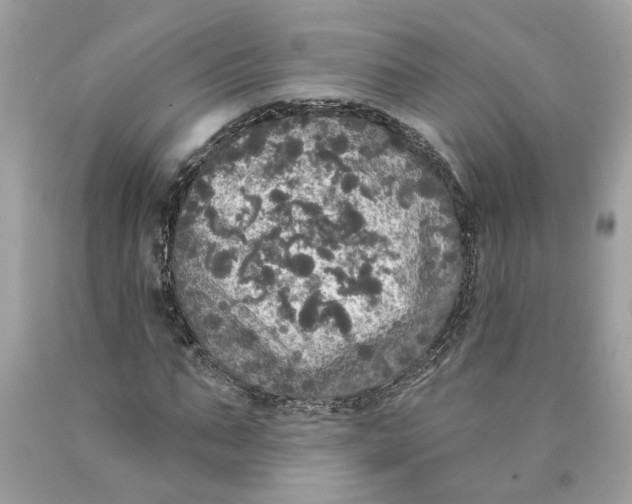 X0000089960871200707201946