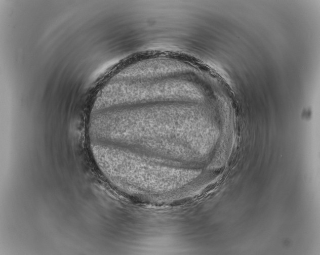 X0000089960872200707201946