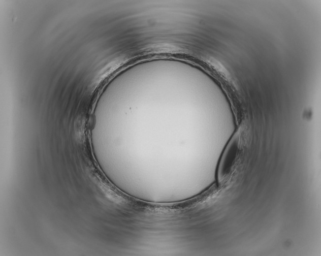 X0000089960873200707201946