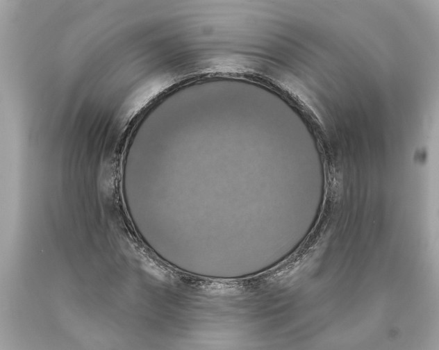 X0000089960874200707201946