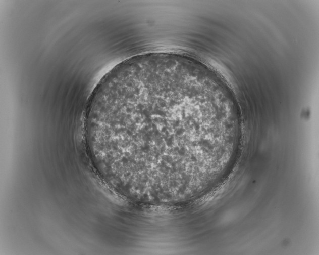 X0000089960875200707201946