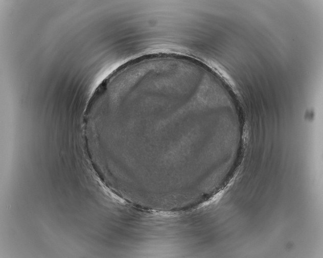 X0000089960877200707201946