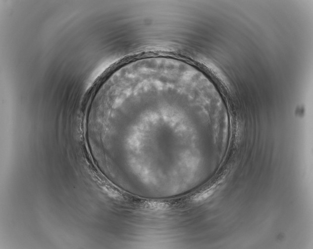 X0000089960878200707201946