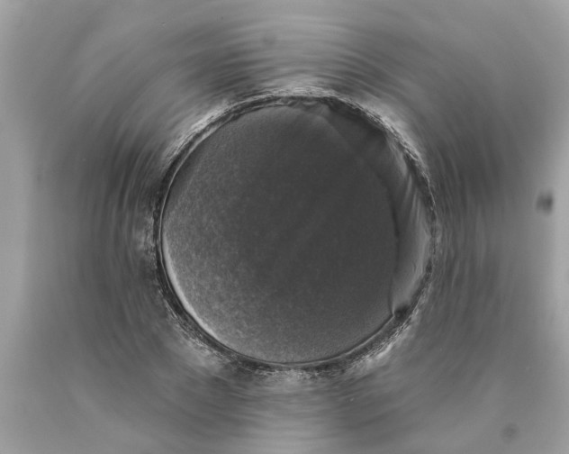 X0000089960881200707201946