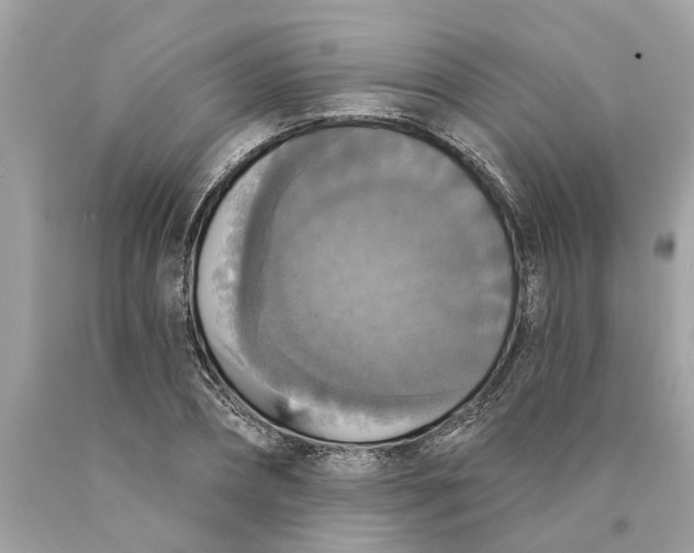 X0000089960882200707201946