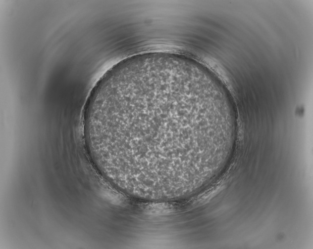 X0000089960883200707201946