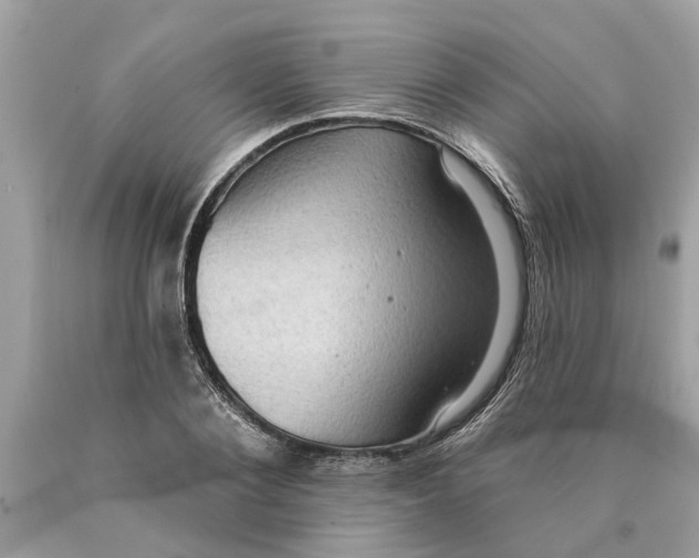 X0000089960884200707201946