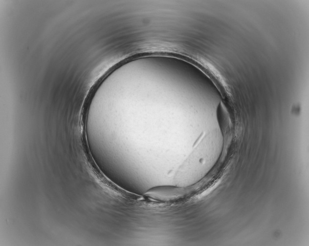 X0000089960885200707201946