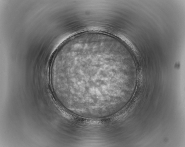 X0000089960886200707201946