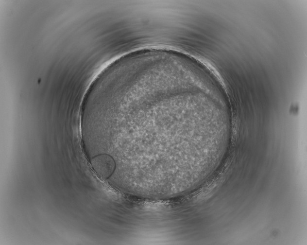 X0000089960887200707201946