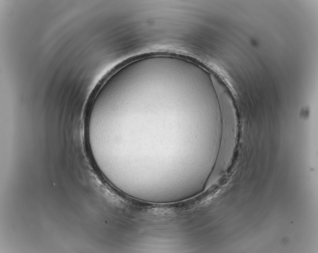 X0000089960888200707201946