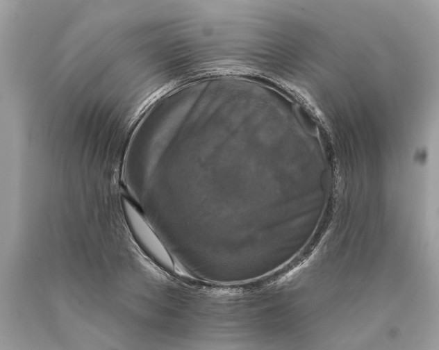 X0000089960889200707201946