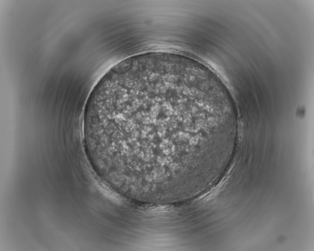 X0000089960891200707201946