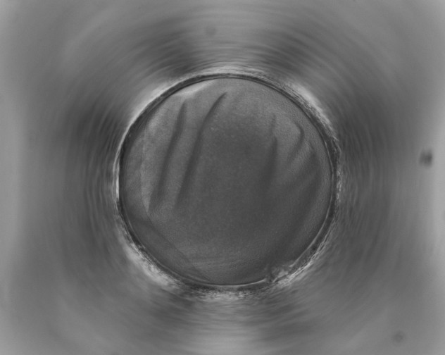 X0000089960892200707201946