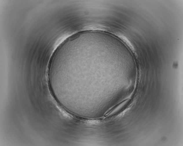 X0000089960893200707201946